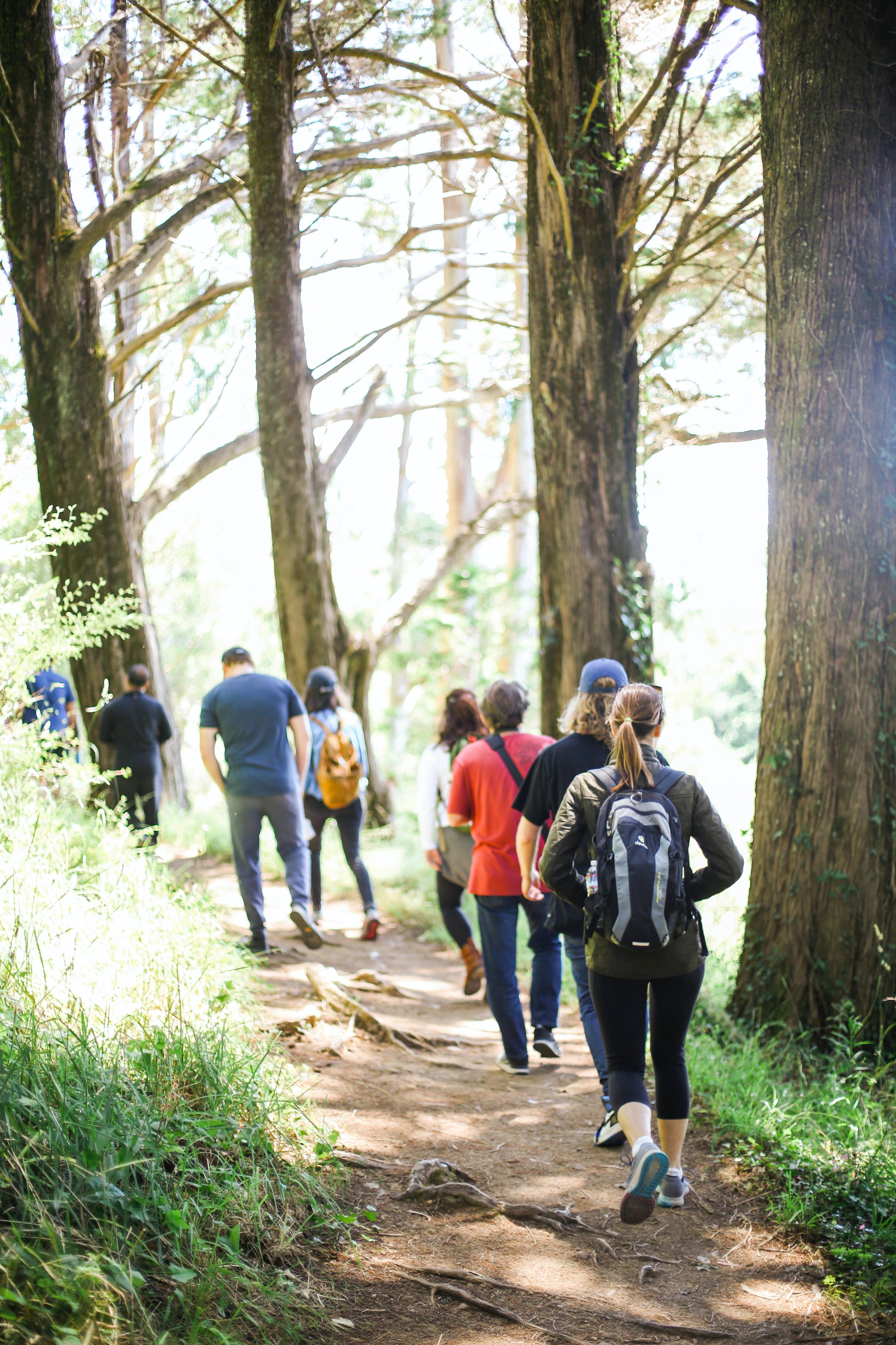 Wandernde Menschen auf einem Waldweg.