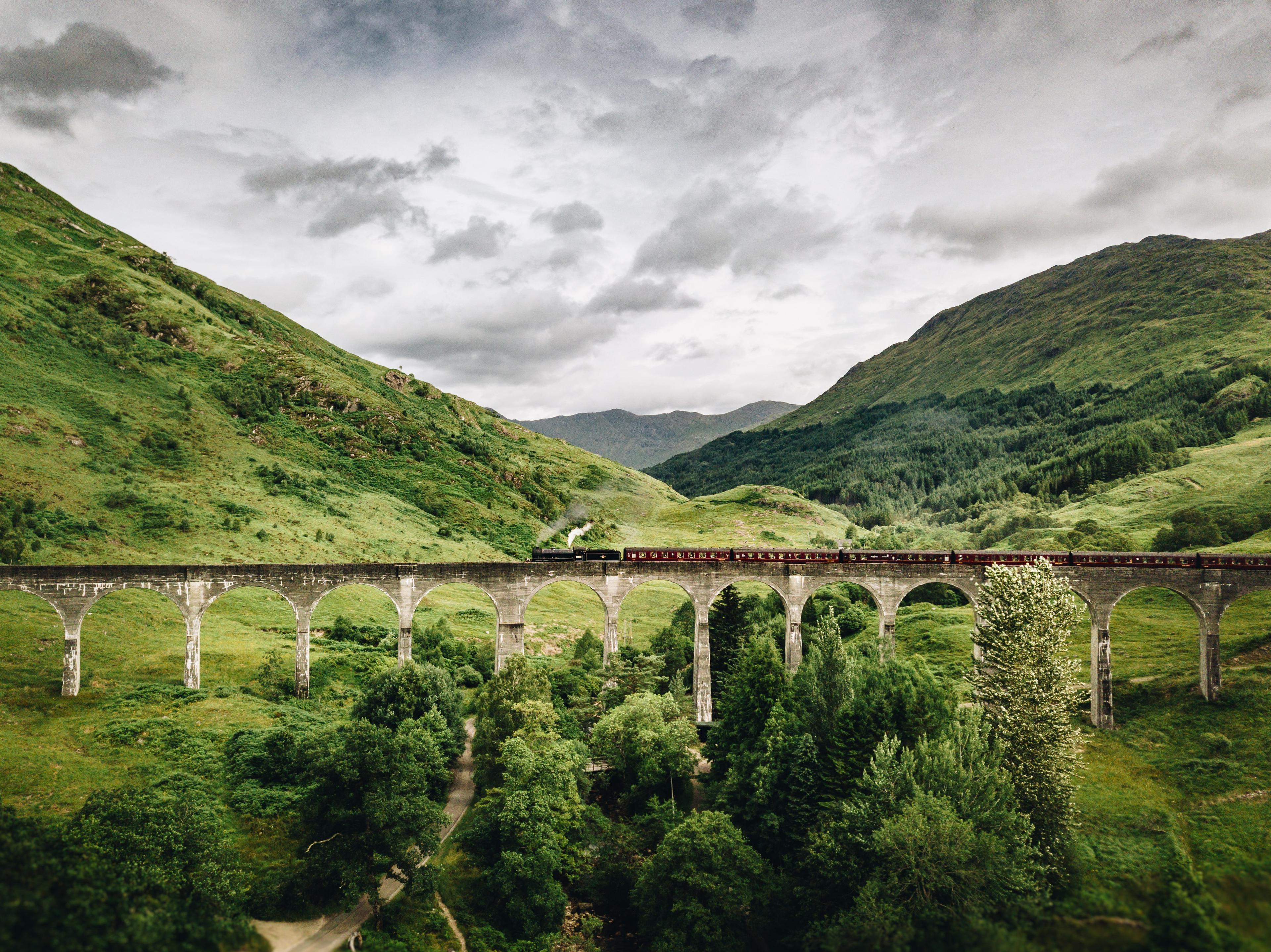 Zug fährt auf Viadukt druch grüne Landschaft