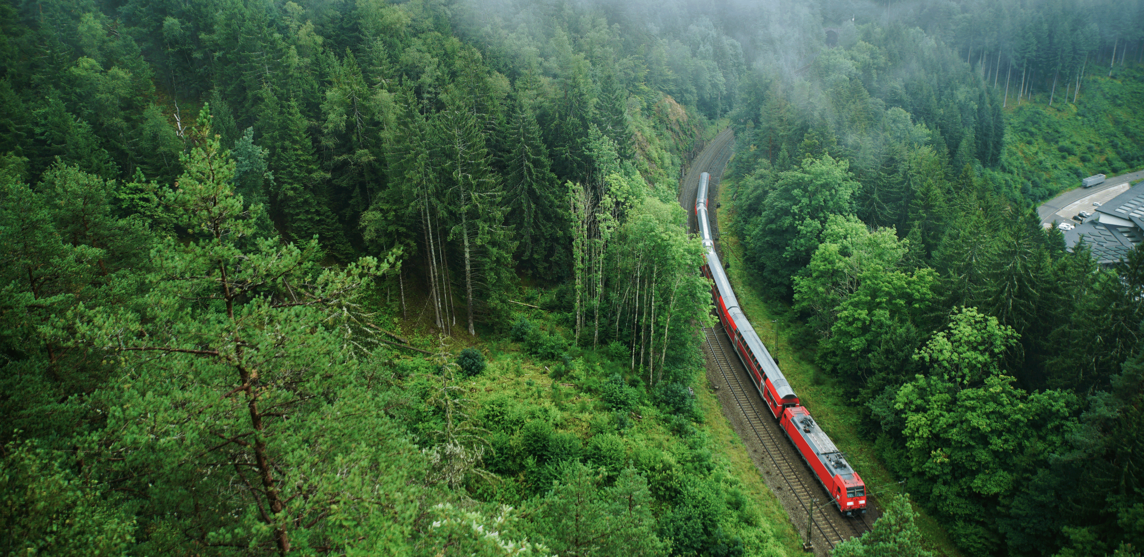 Zug fährt durch Wald