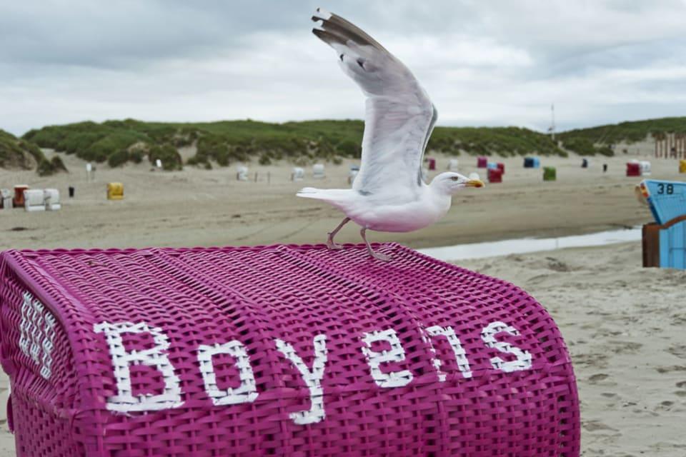 Düne Nord (Surfschule & Hundestrand)