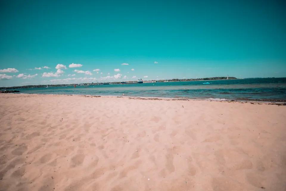Hippiefisch Strandbar