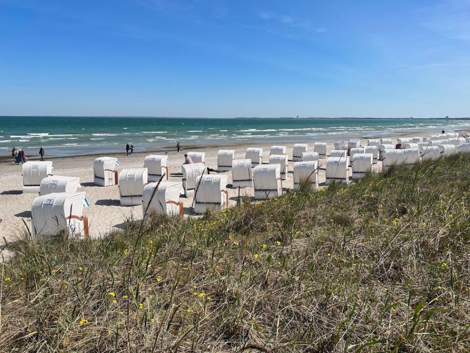 Strandeingang 31 (Hundestrand)