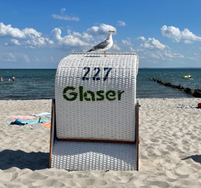 Glaser