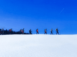Eine Gruppe wandert mit Schneeschuhen durch Schnee vor blauem Himmel