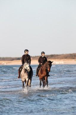Zwei Reiterinnen auf ihren Pferden am Ostseestrand