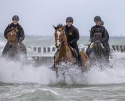 Vier Reiterinnen auf Pferden in der Ostsee vor Buhnen