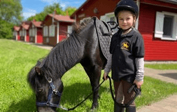 Ein Mädchen mit Reiterhelm und einem grasenden Pony an der Leine