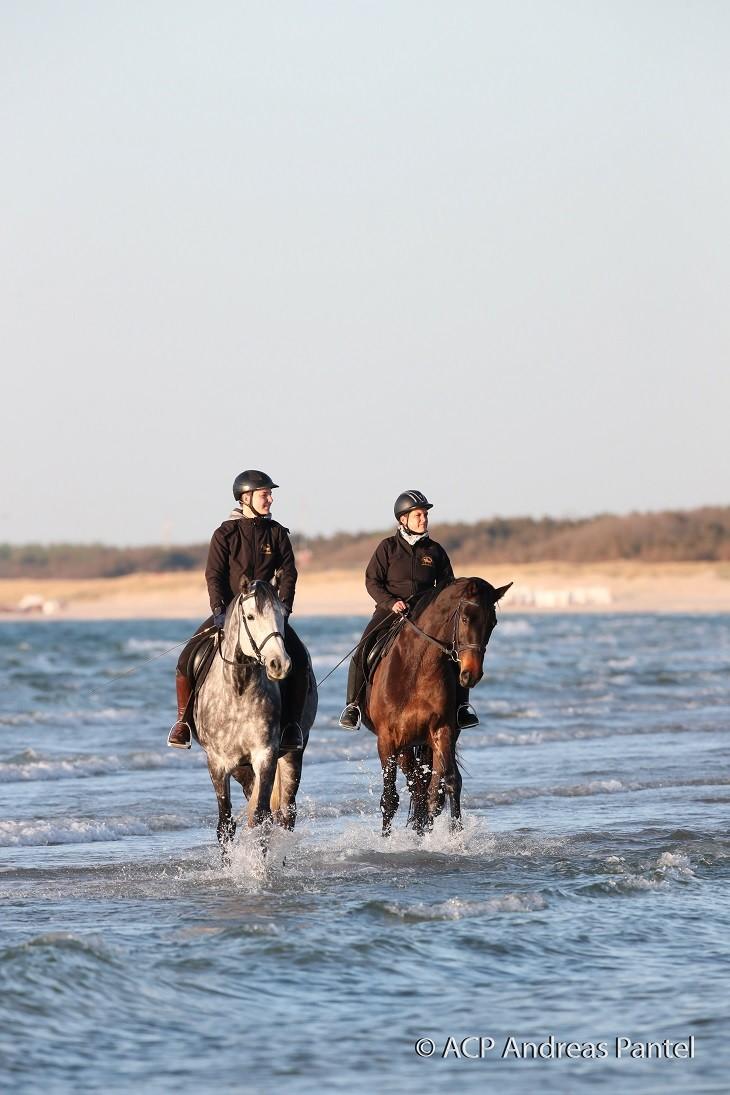Zwei Reiterinnen auf ihren Pferden am Ostseestrand