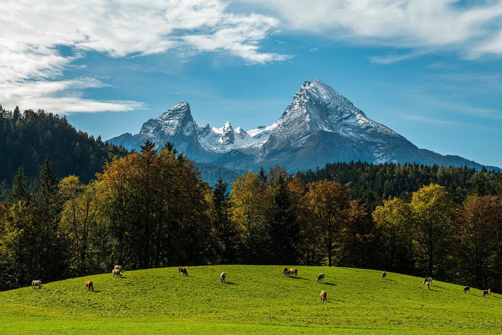 Watzmann in den Berchtesgadener Alpen