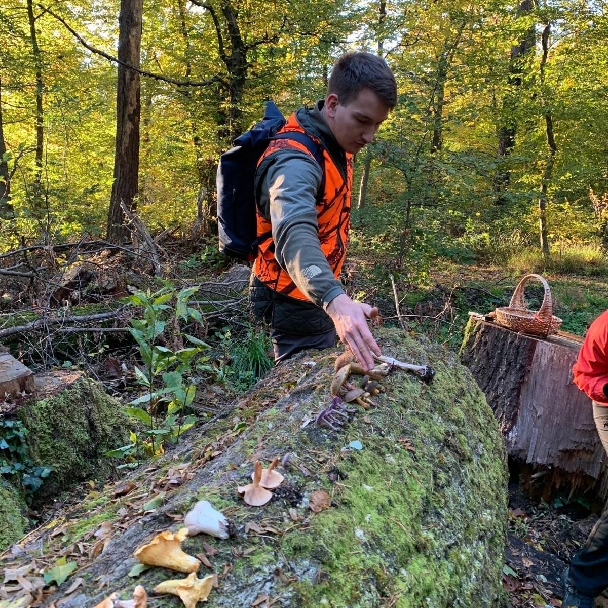 Ein Guide bei einer Pilzwanderung im Wald