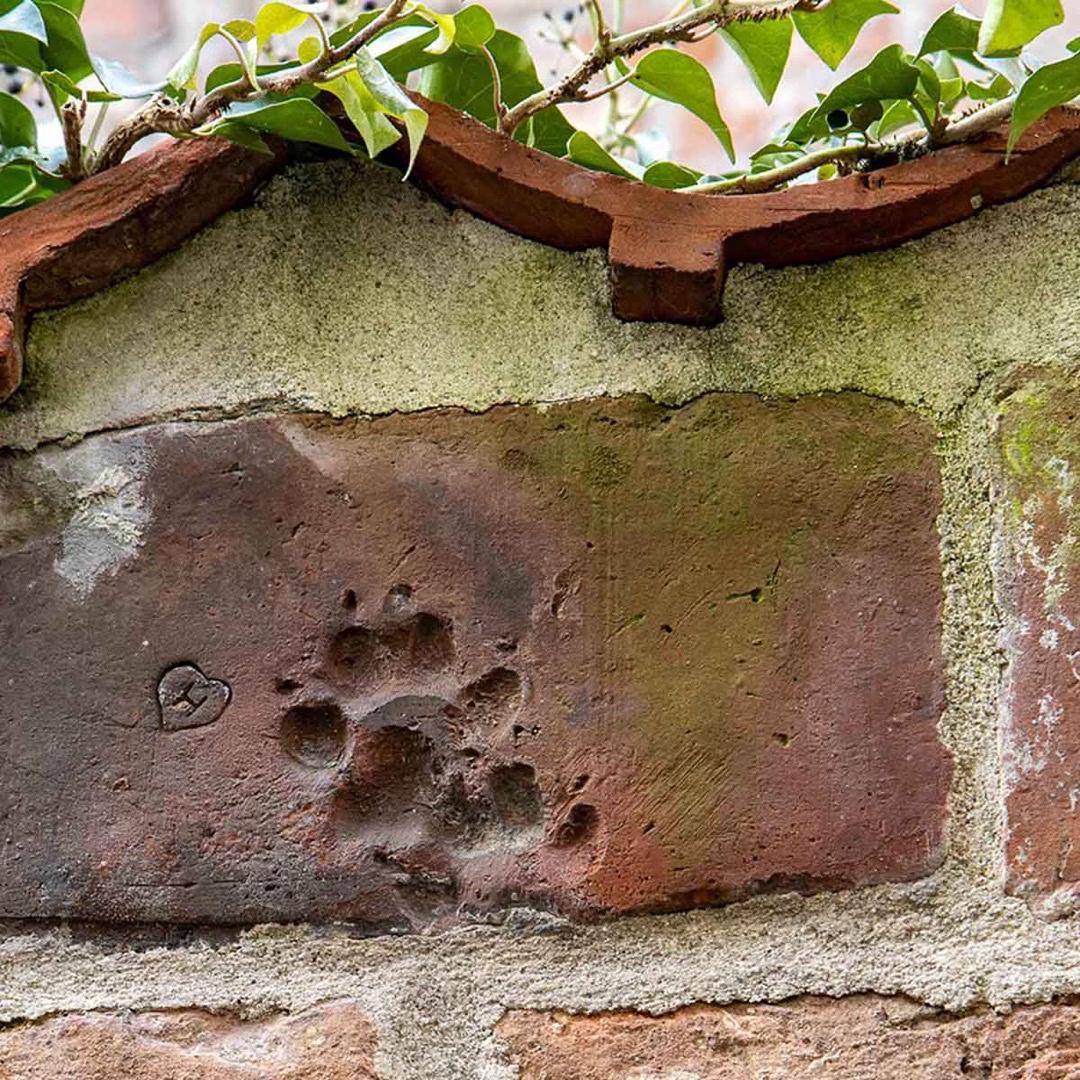 Alte Backsteinmauer mit eingedrücktem Pfotenabdruck und kleinem Herz – ein verborgenes Detail in Lübeck.