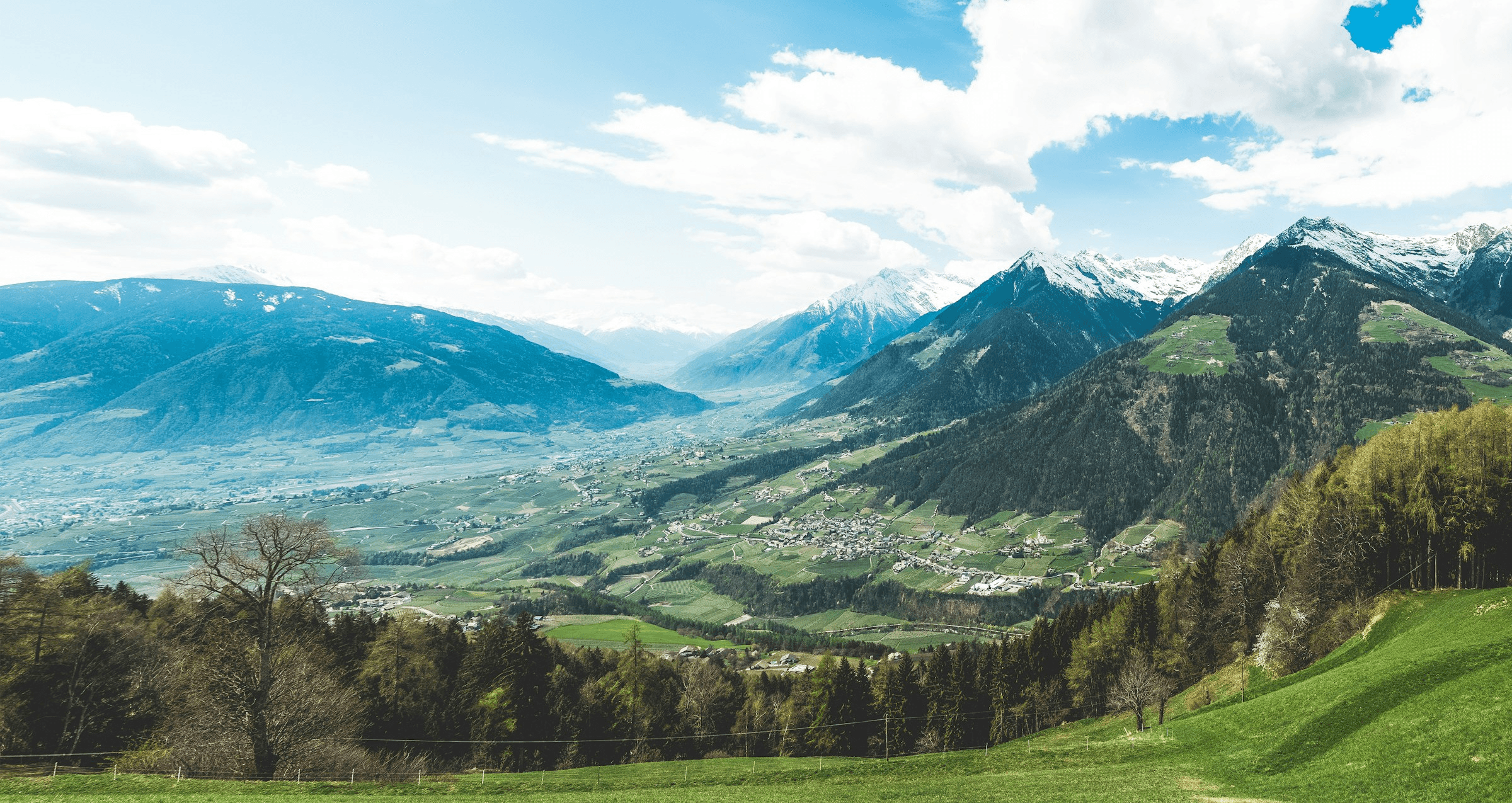 Alm in Meran (Südtirol)