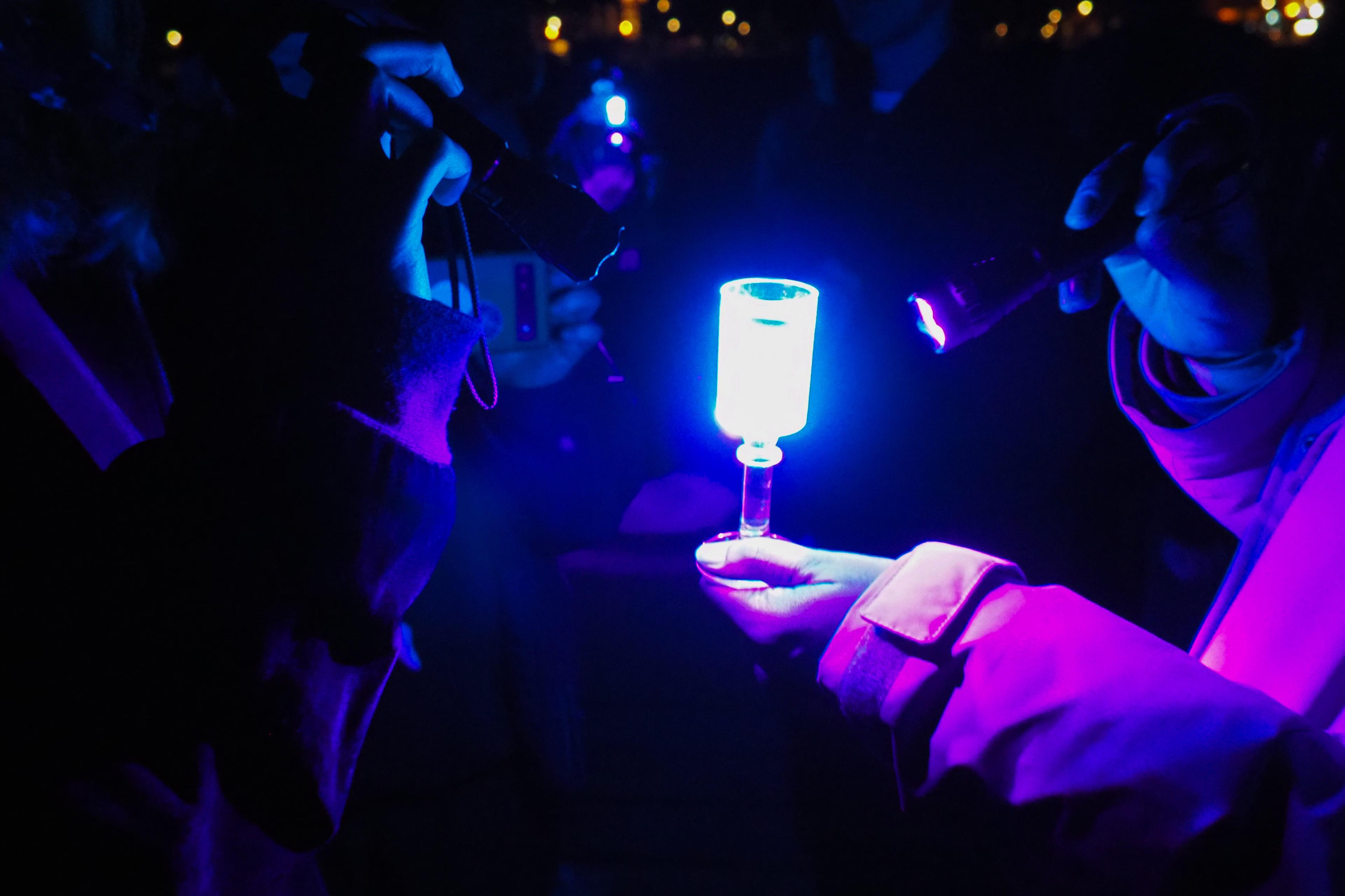 Bernsteine finden: Geführte Tour mit Schwarzlicht (Travemünde)
