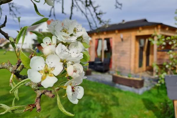 Im Vordergrund eine weiße Blüte, im Hintergrund ein Gartenhaus.