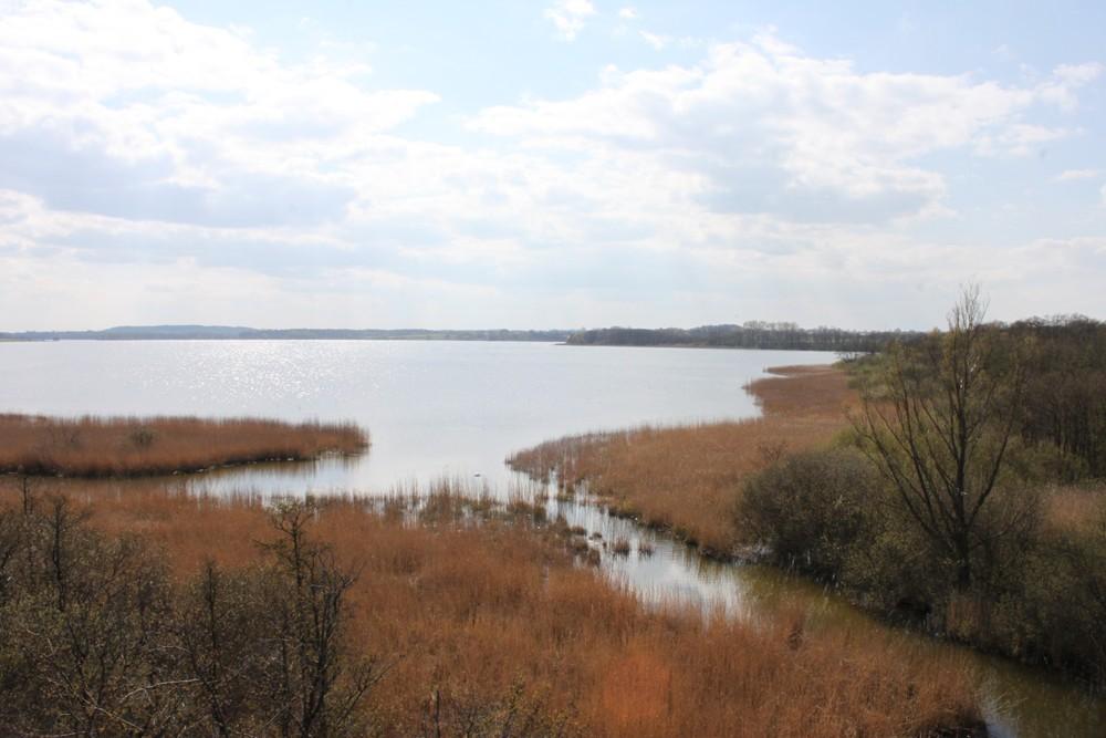 Moorlandschaft an der Ostsee