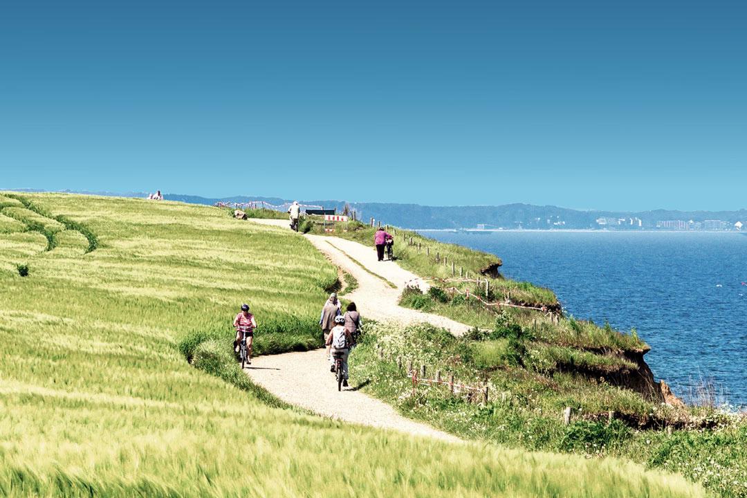 Ein Küstenradweg in der Lübecker Bucht mit vielen Radfaher:innen, daneben grüne Wiesen und die blaue Ostsee.
