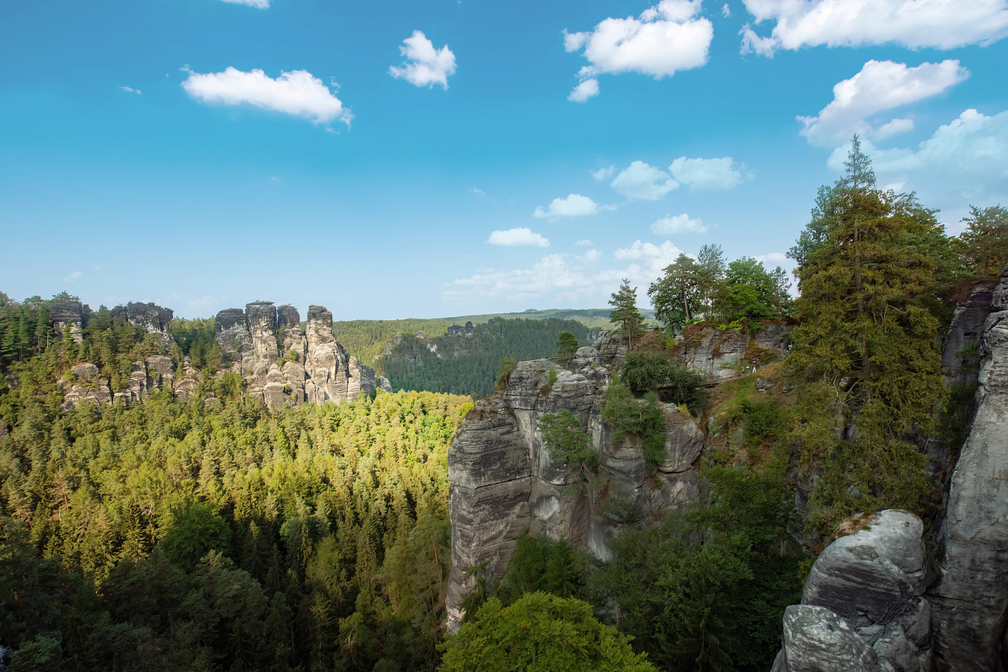 Elbsandsteingebirge mit Baum im Vordergrund