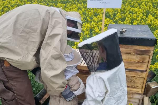 Ein Erwachsener hilft zwei Kindern in Imker-Kleidung an einem Bienenstock im Garten.