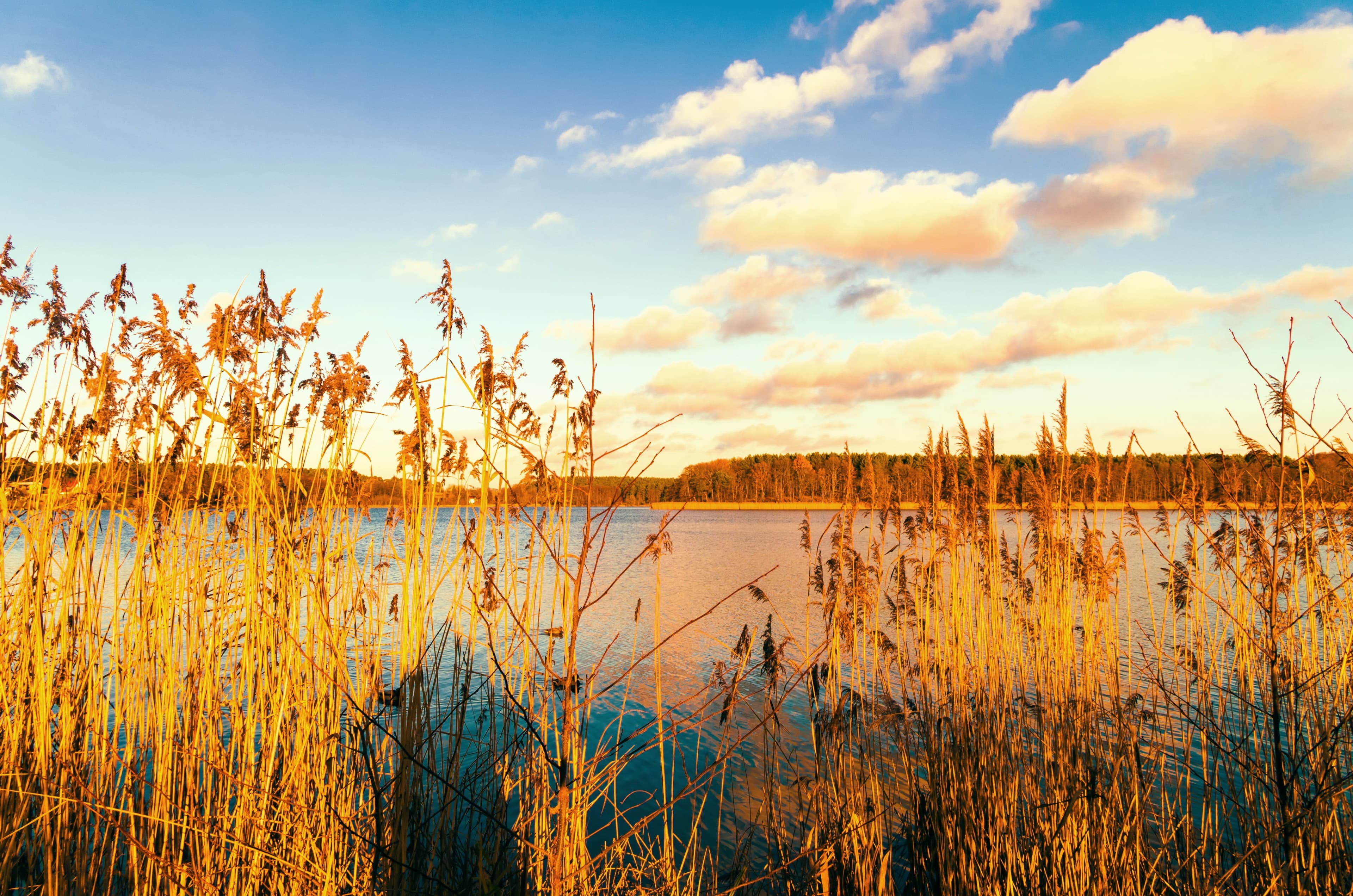 Sonnenuntergang am See Oberpfuhl bei Lychen in der Uckermark