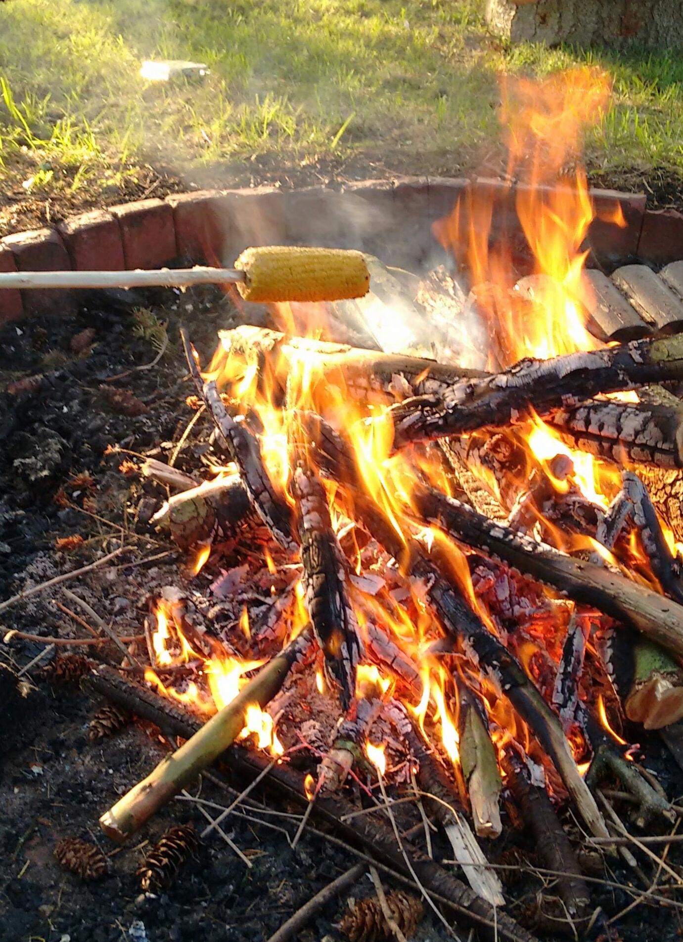 Waldretreat-Wochenende im Frühling