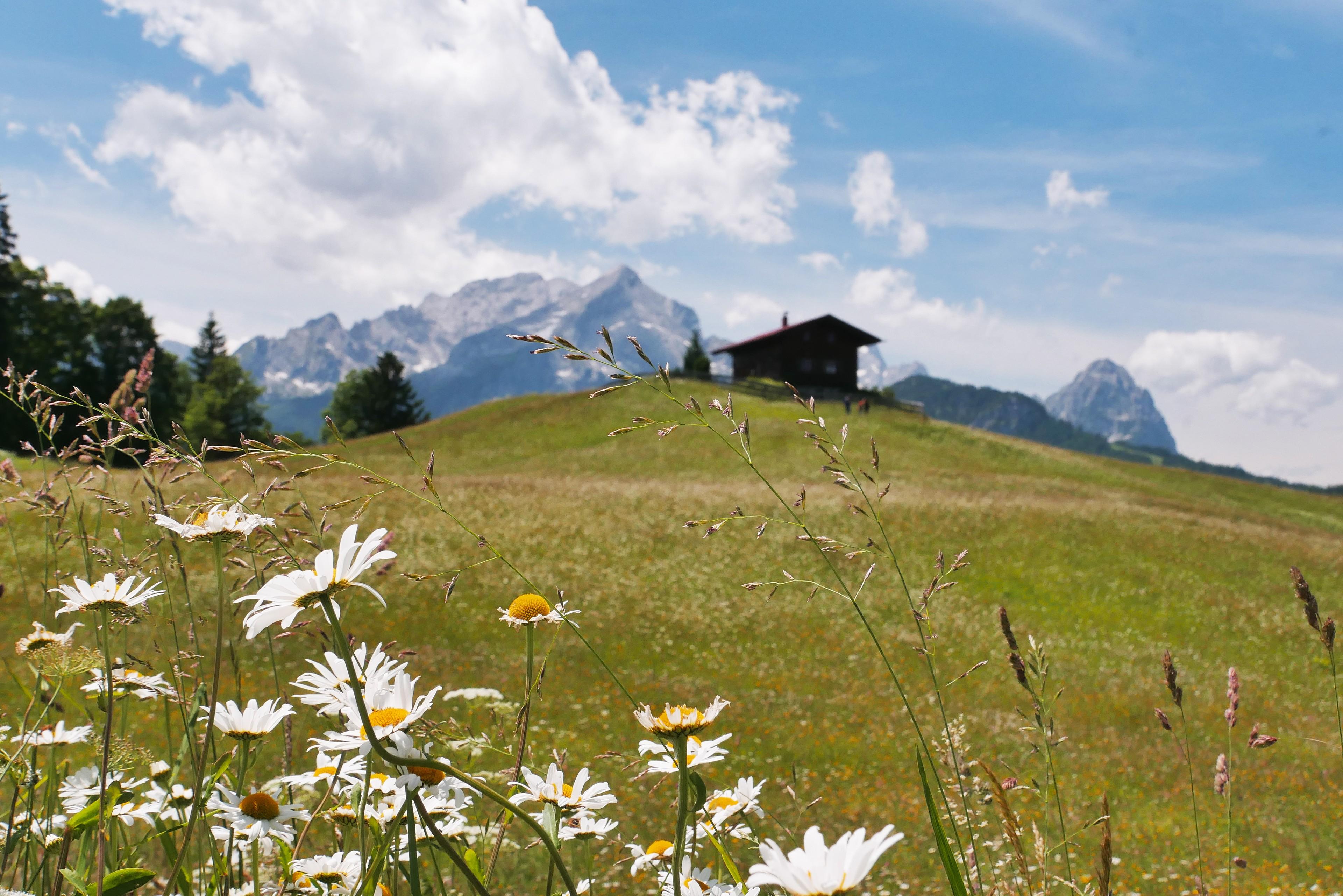 Landschaft am Wank