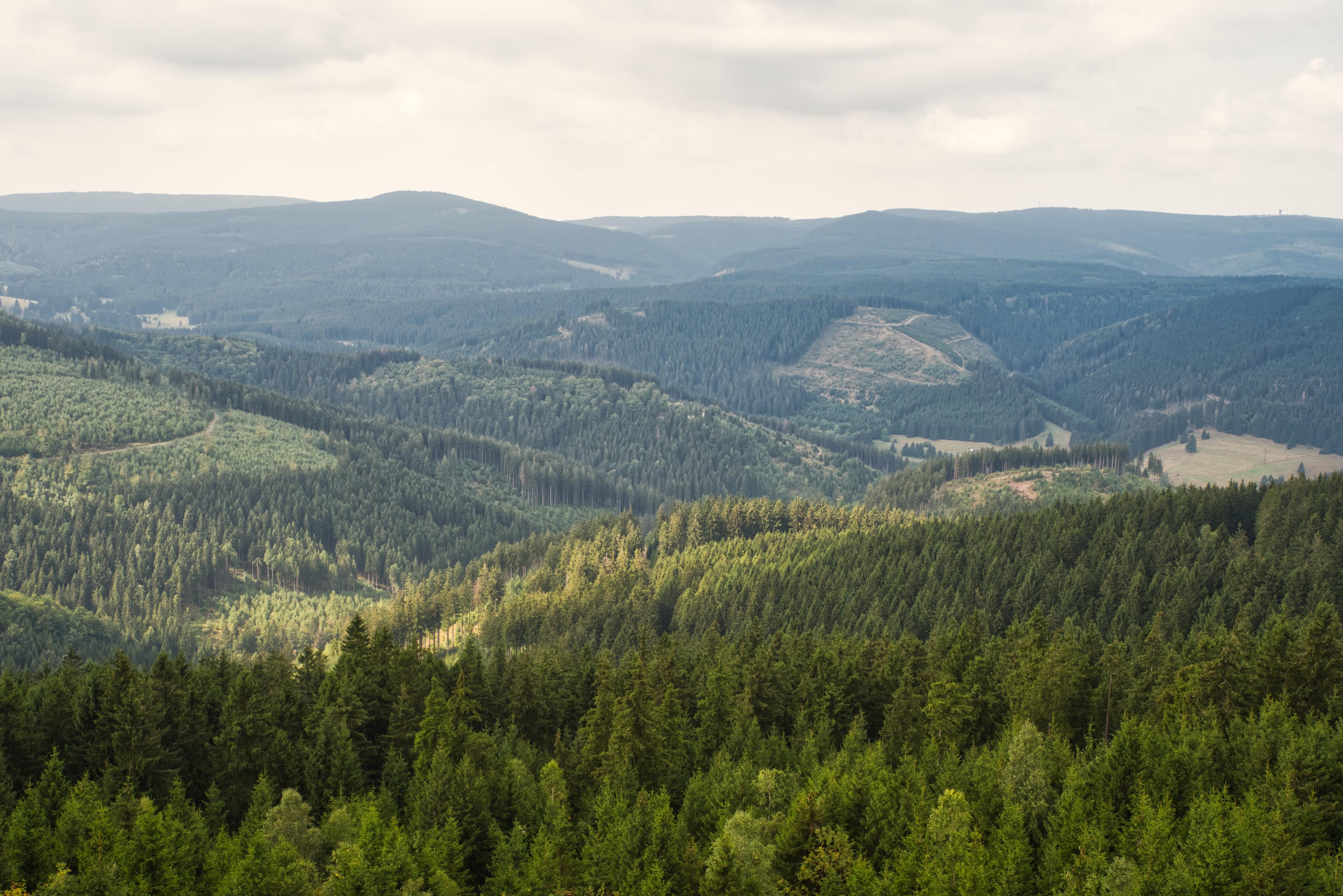 Blick über den Thüringer Wald