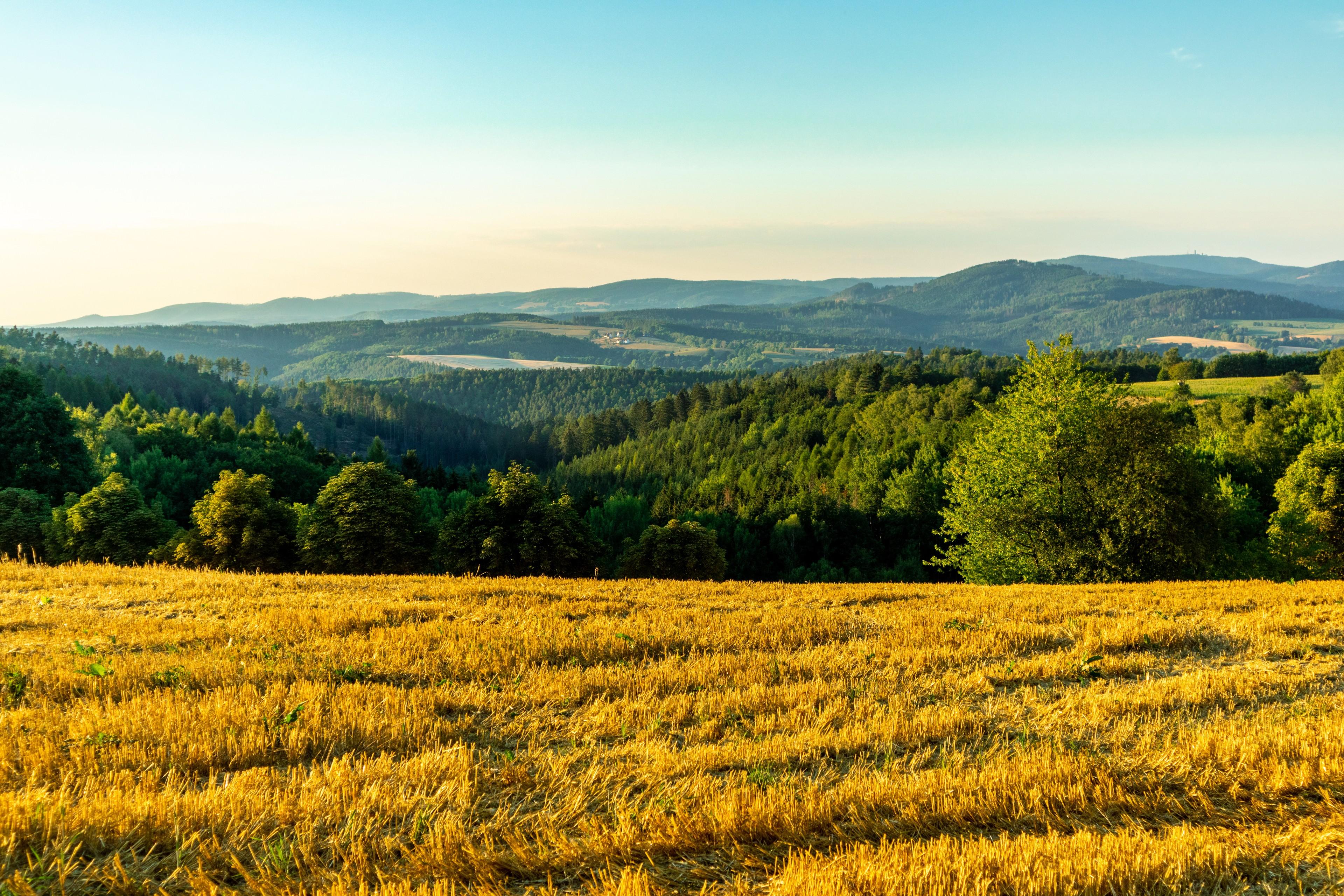 Landschaft bei Schmalkalden in Thüringen