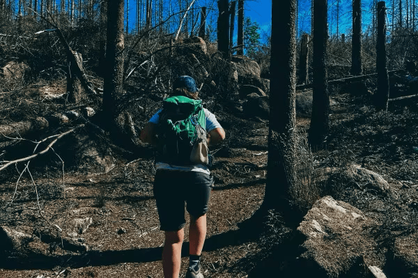 Wanderung: Auf felsigen Wegen - Schierke