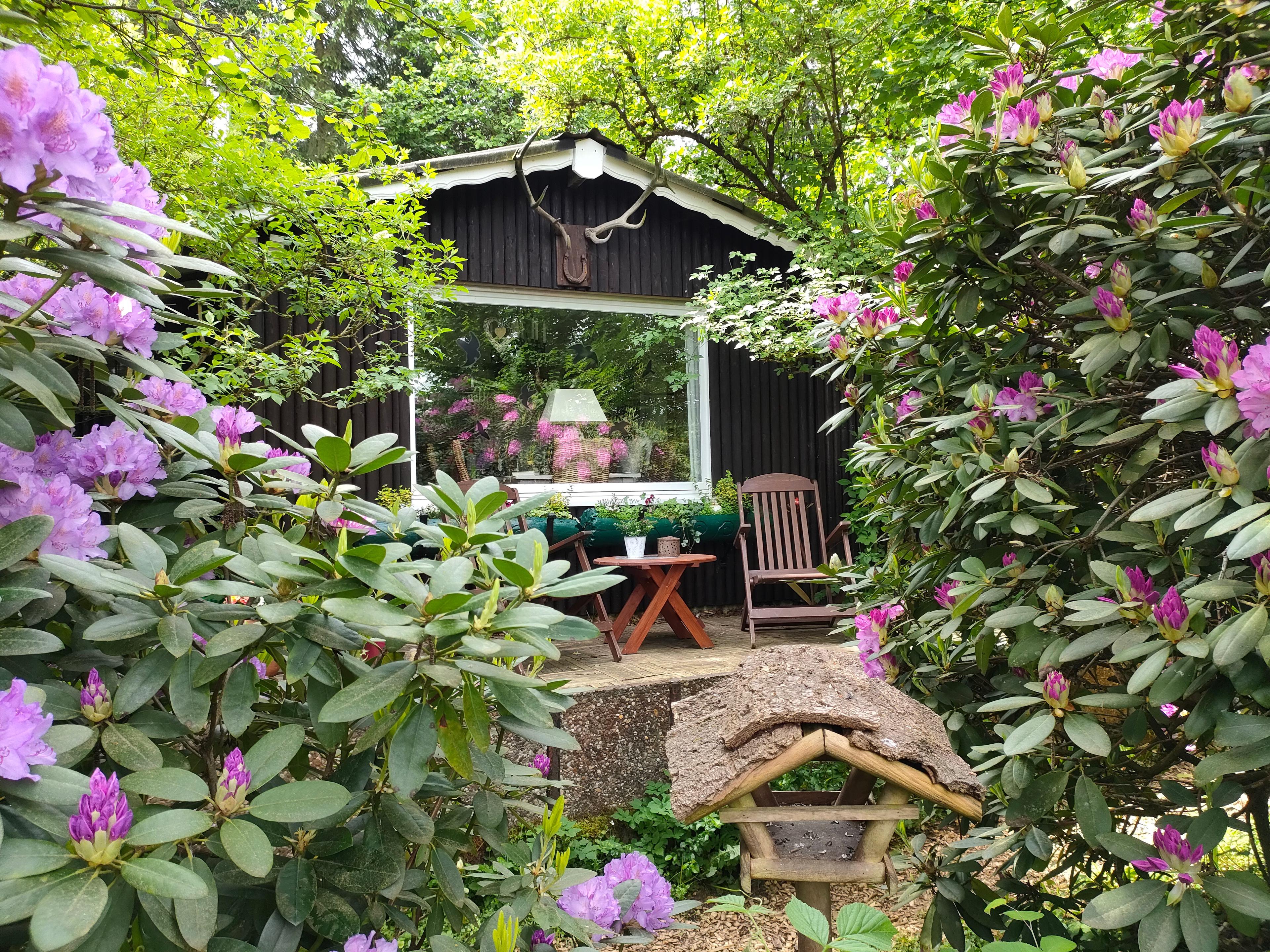 Waldretreat-Wochenende im Frühling