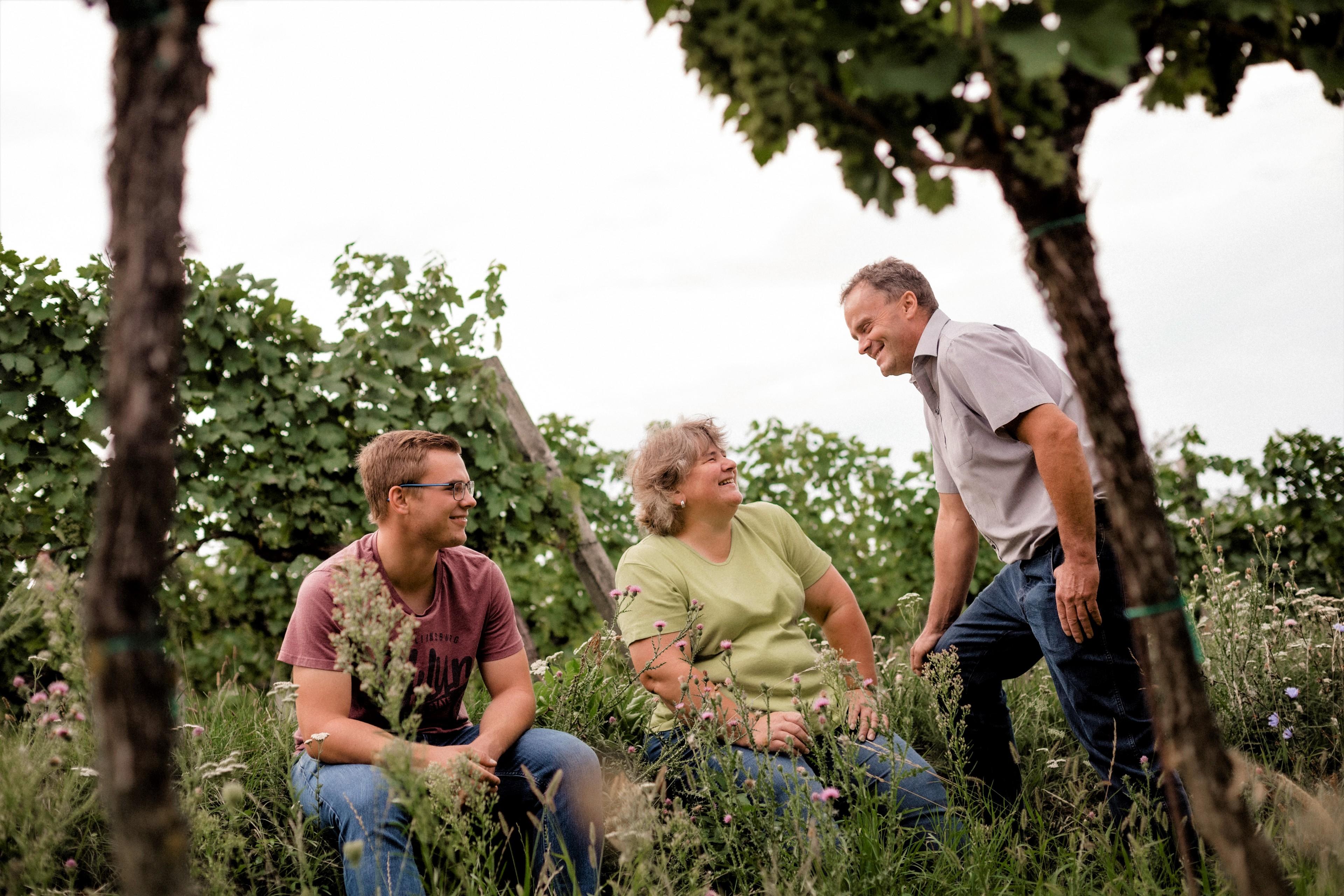 Weg zum Pfalz-Wein