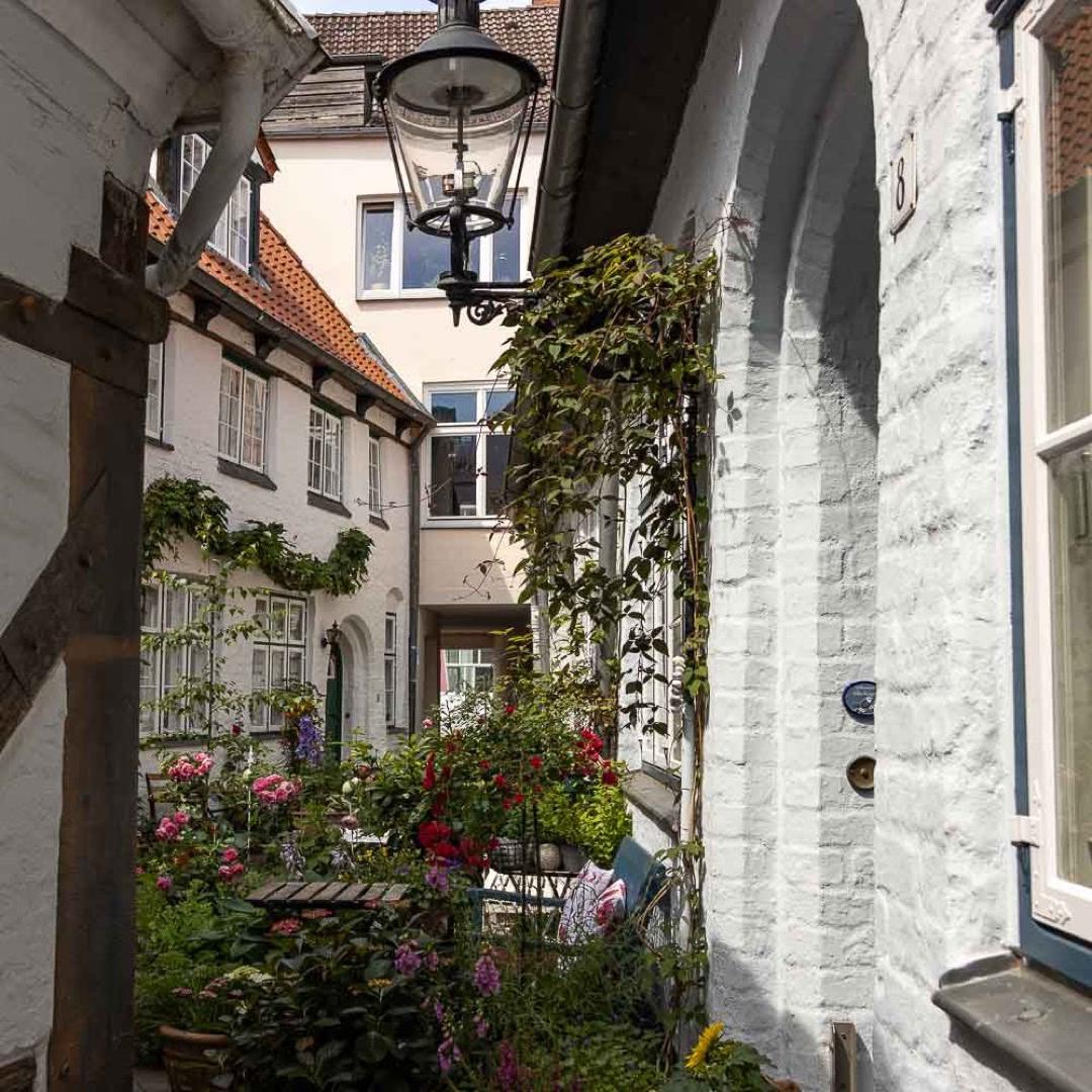 Schmaler, begrünter Innenhof mit weißen Altstadthäusern und blühenden Pflanzen im Lübecker Domviertel.