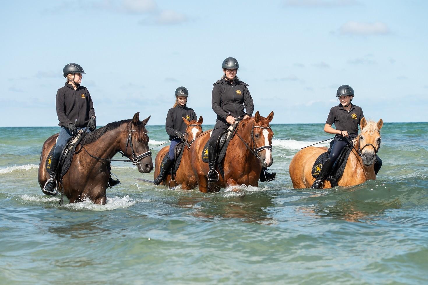 Vier Reiterinnen auf ihren Pferden in der Ostsee