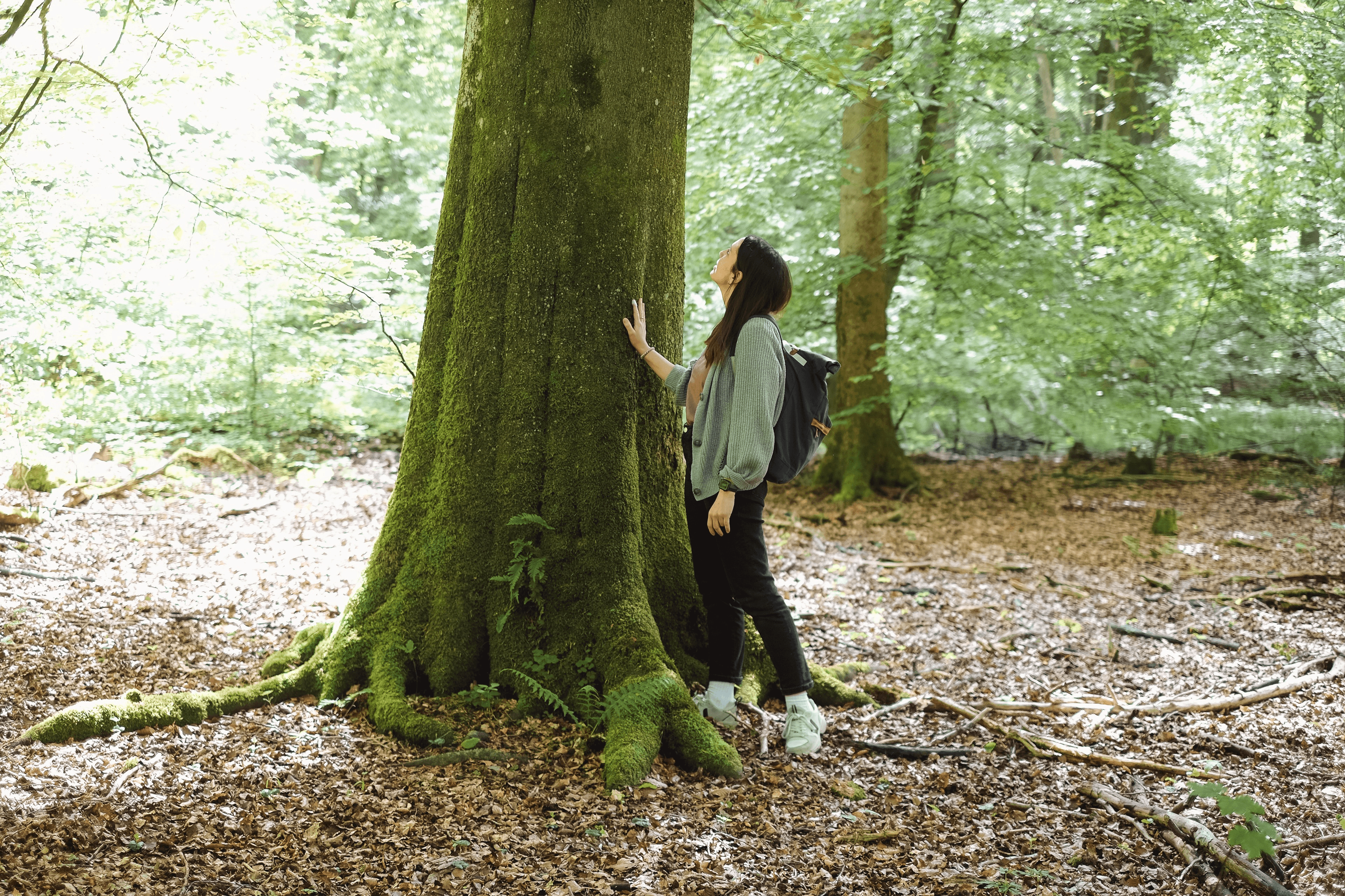 Eine Frau legt beim Waldbaden eine Hand an einen Baumstamm
