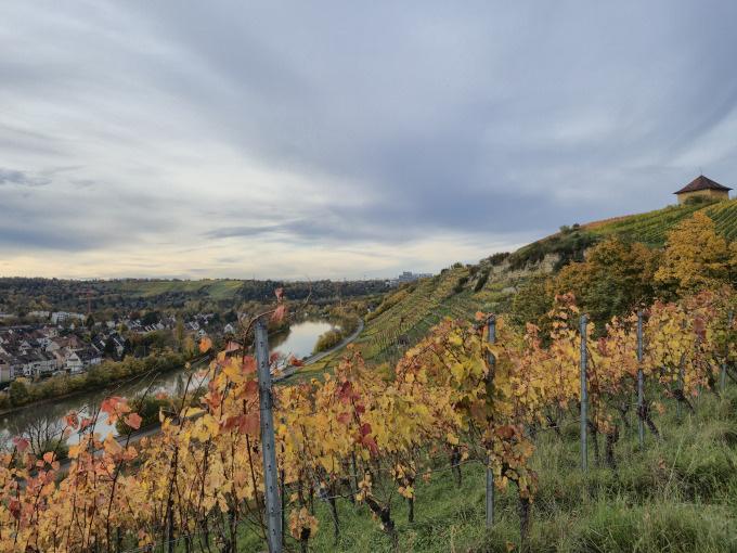 Weinsafari für Gruppen 