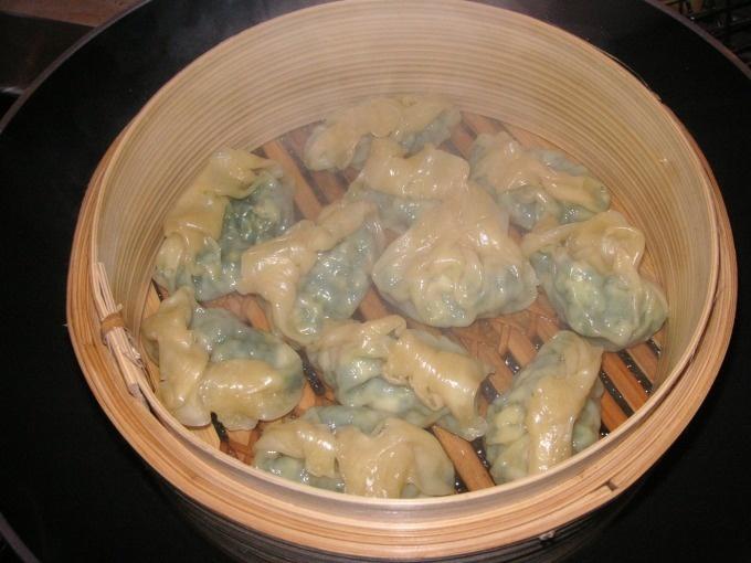 DIM SUM - Asiatisches Fingerfood, gewickelt und gerollt