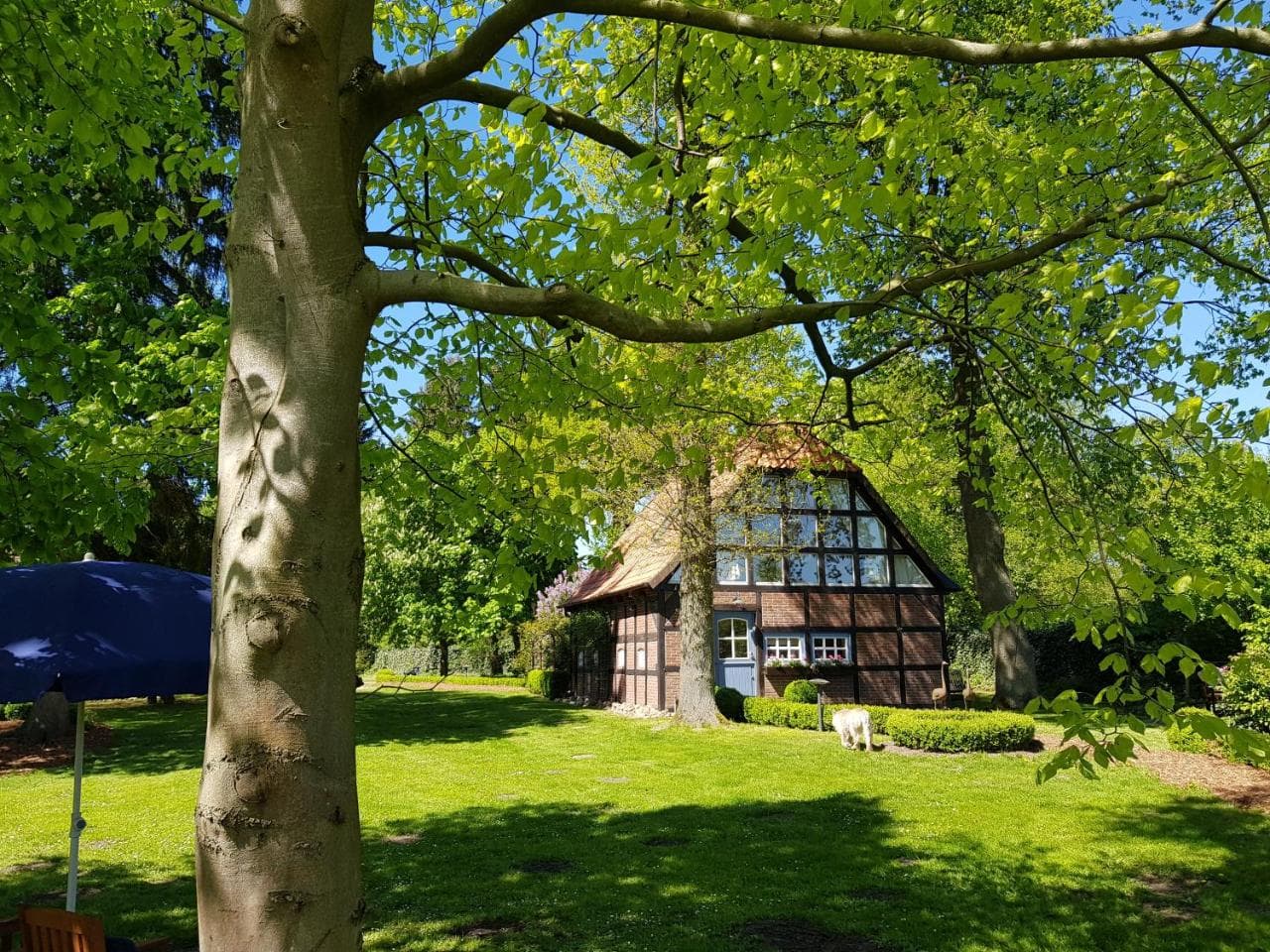 Gästehaus am Kattensteert