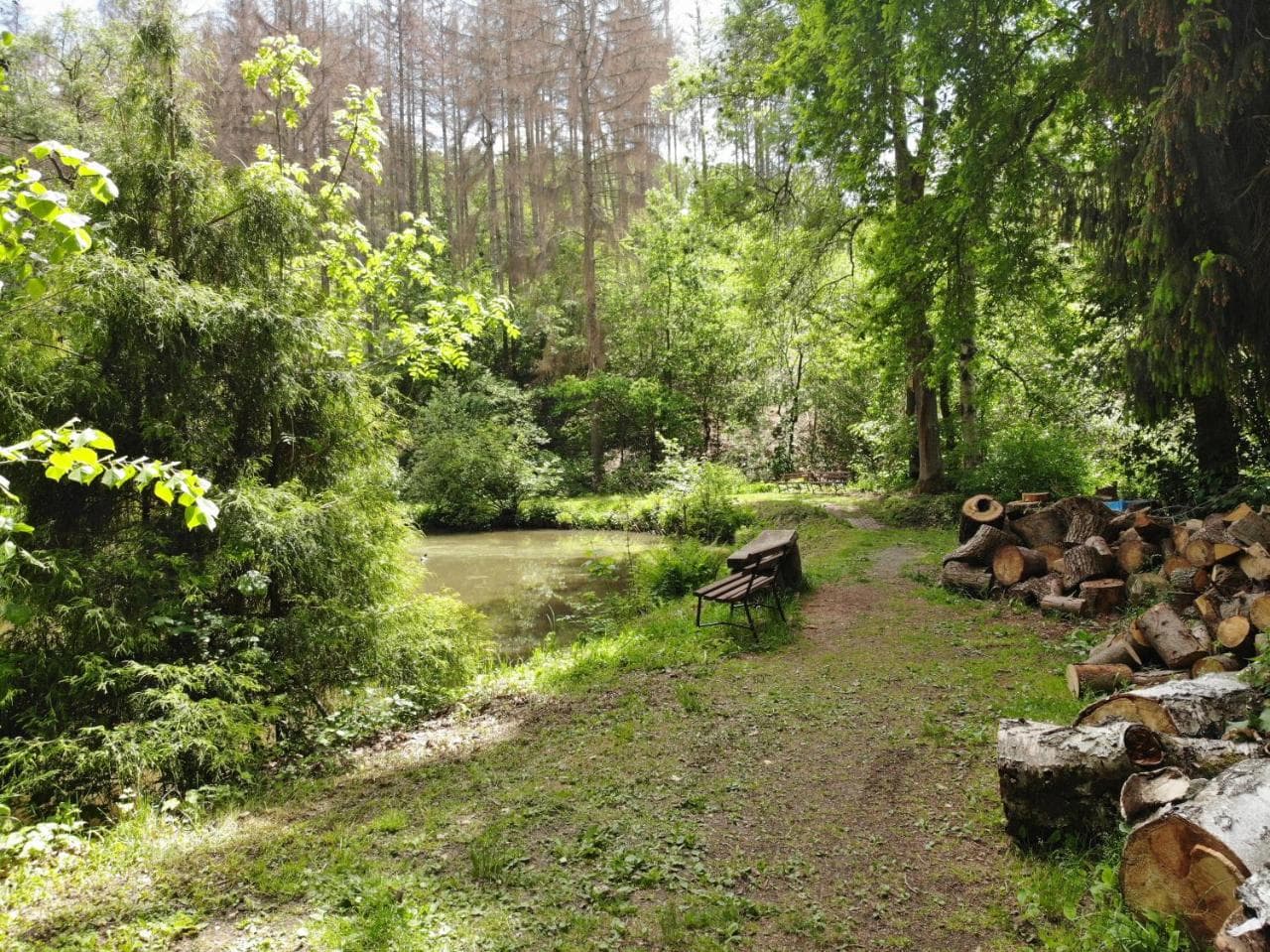 Zur Margarethenmühle - Landgasthof und Waldhotel