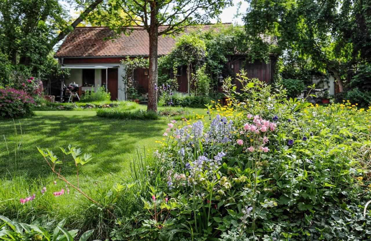 Ferienhaus Burgblick