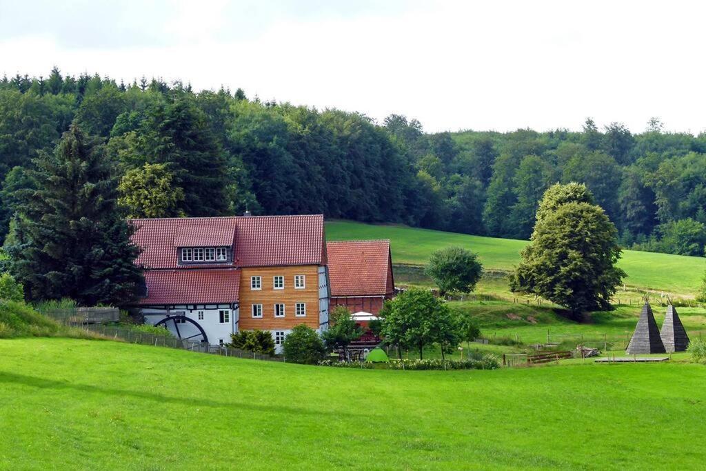 Historische romantische Mühle