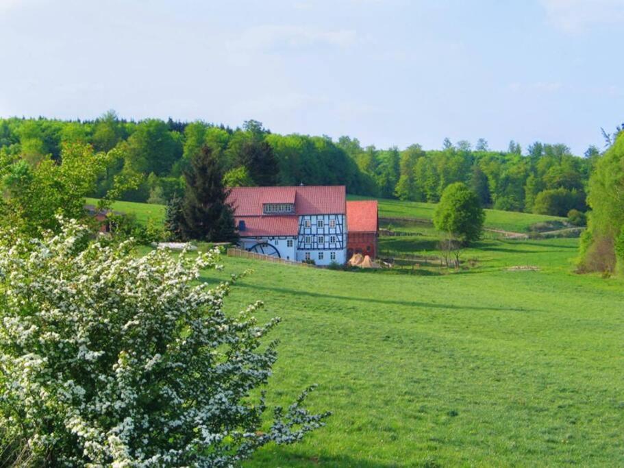 Historische romantische Mühle