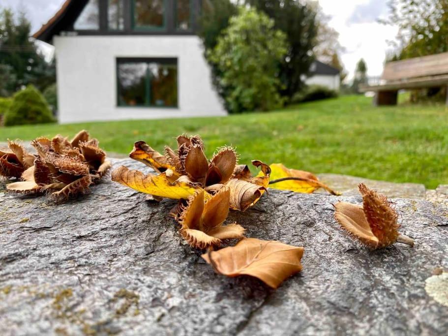 Ferienhaus Ingrid gemütliches Cottage im Grünen