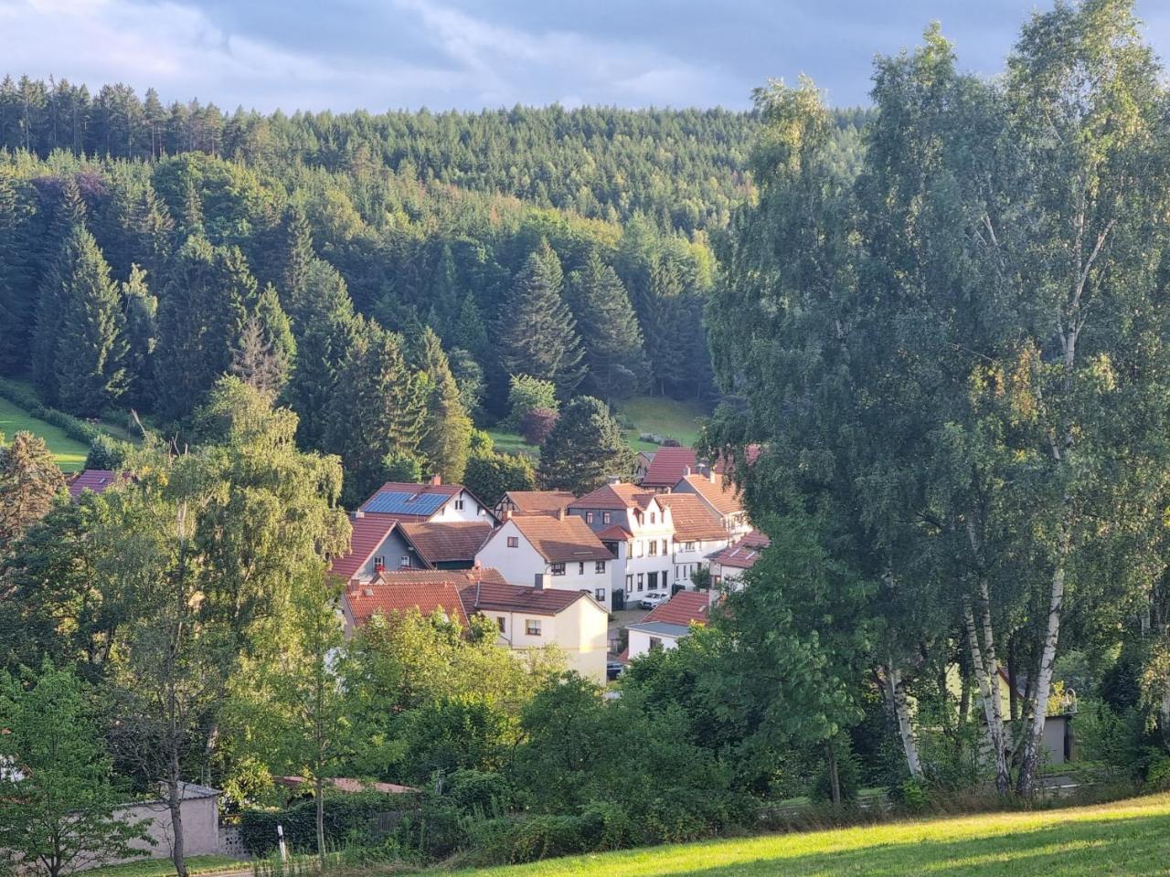 Superior - Ferienhaus am Engelsbach im Thüringer Wald