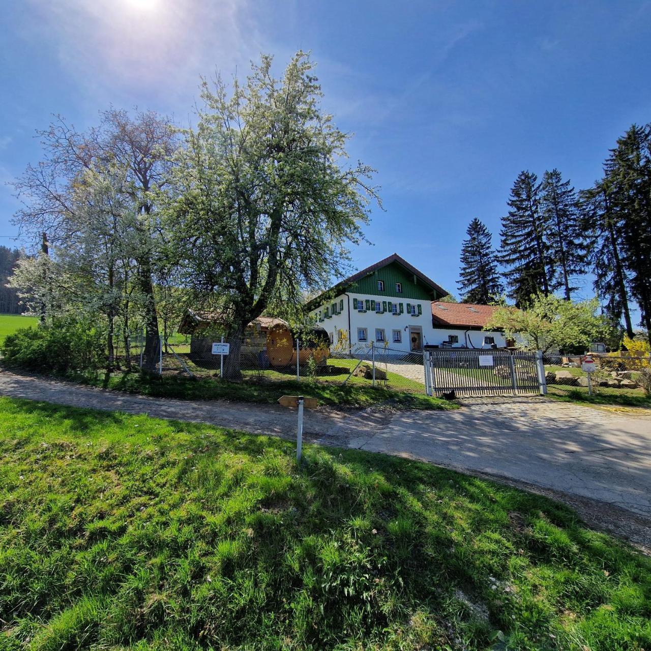 Landgut Michlshof - Bauernhof, Tinyhouse, Tiere