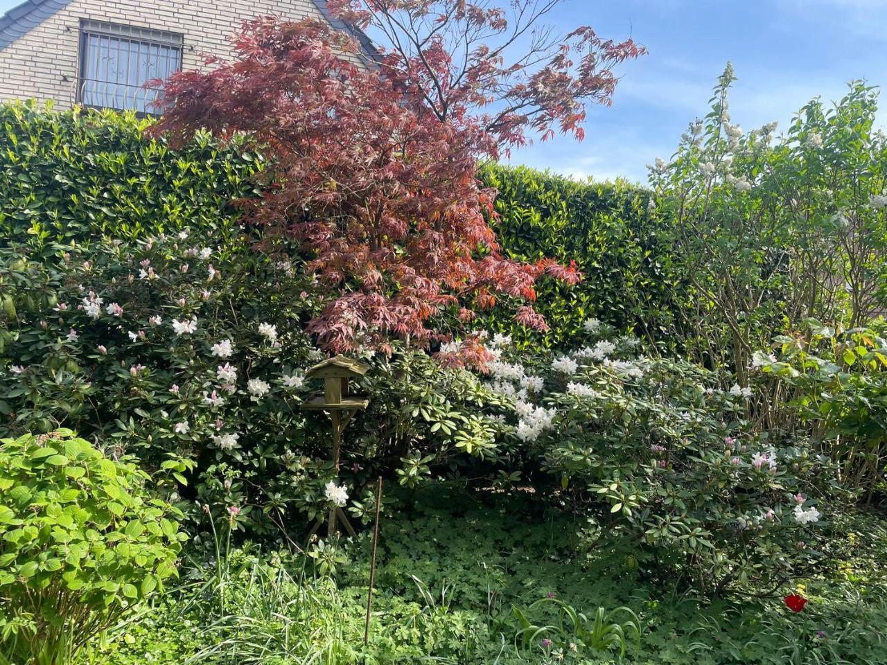 Ferienhaus Magnolie Xanten