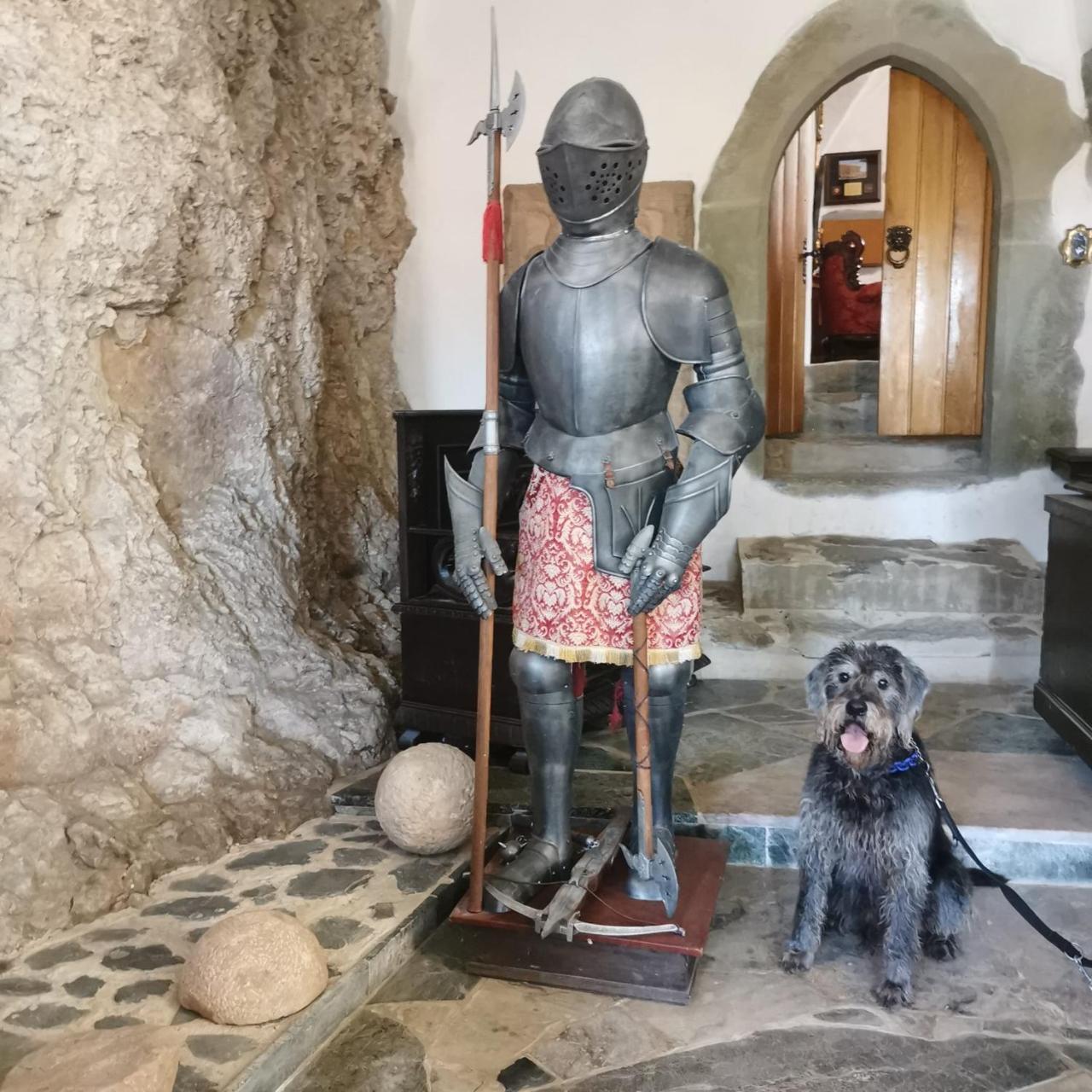 Burg Hermannstein - Kings Room