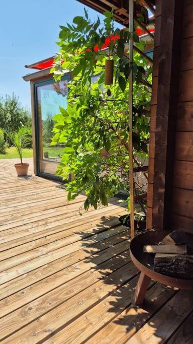 Ökologisches Hideaway mit Sauna und großem Garten