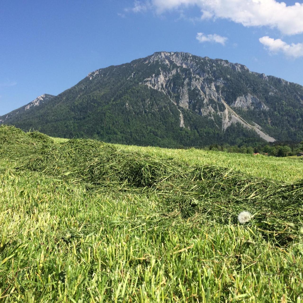 Schifterhof Ruhpolding