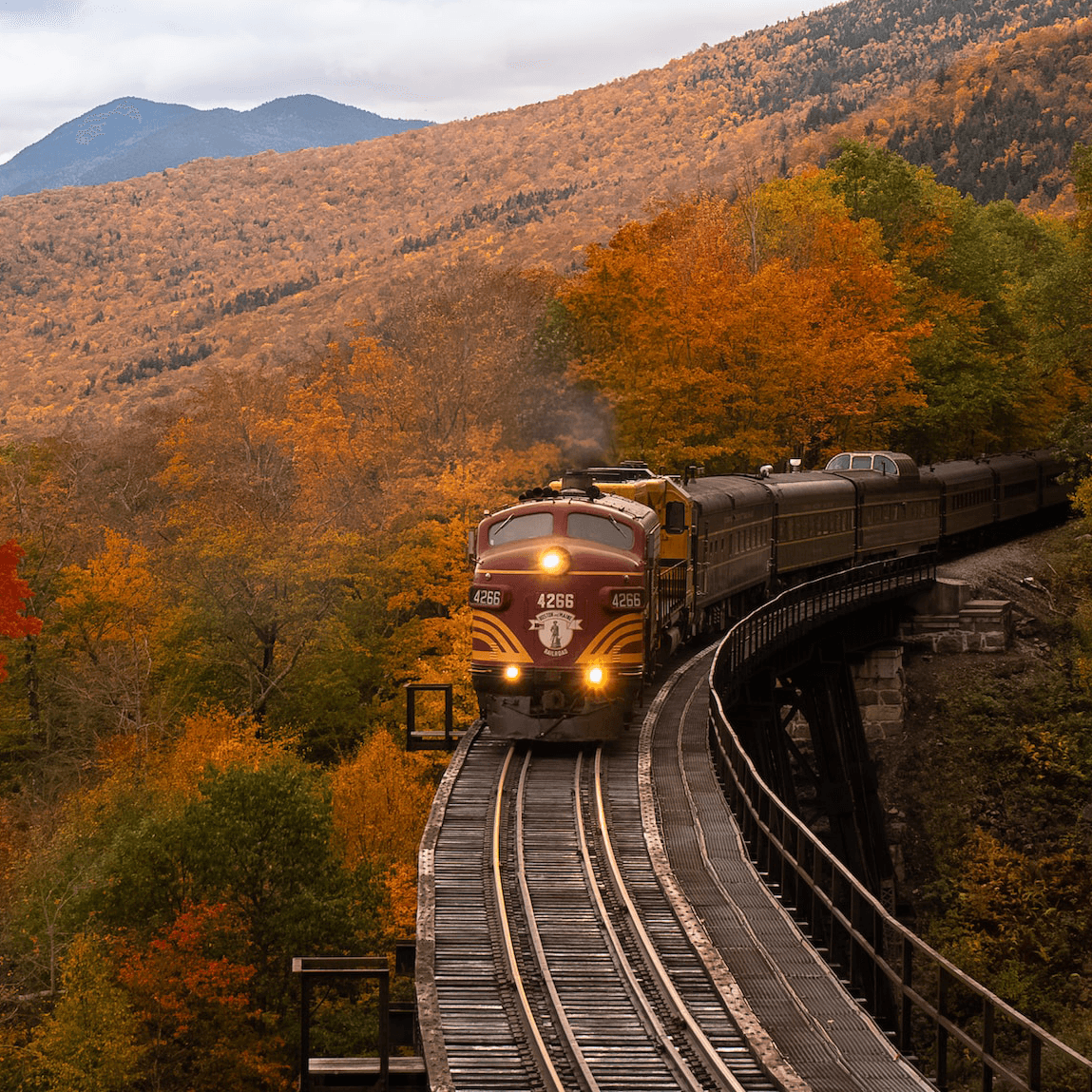 Zug fährt durch Herbstwald