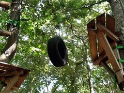 Ein Reifen hängt als Klettergerät zwischen zwei Bäumen im Kletterwald Hohe Düne
