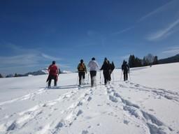 Eine Gruppe wandert bei einer geführten Schneeschuh-Wanderung einen verschneiten Hang im Chiemgau hinauf